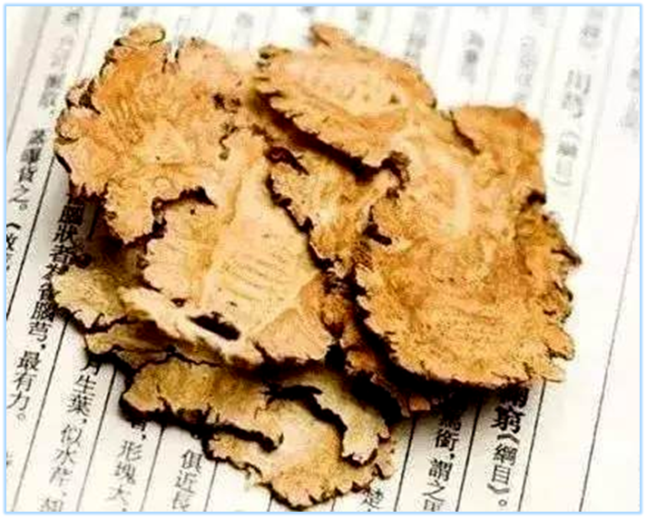 Essential Knowledge of Chinese Medicine: Chuanxiong (Ligusticum chuanxiong)