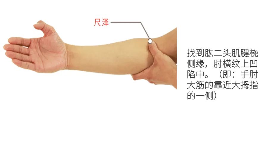 Phlegm-Dampness: Effectively Clear Lung Phlegm with One Acupuncture Point, Eliminating White, Yellow, and Sticky Phlegm