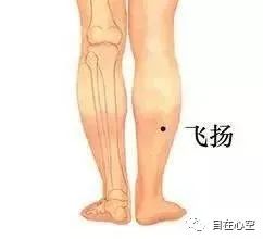The Fifteen Collaterals in Traditional Chinese Medicine