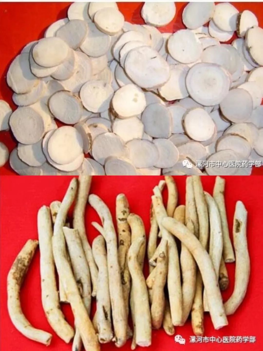 The Efficacy and Functions of Bai Shao (White Peony Root)
