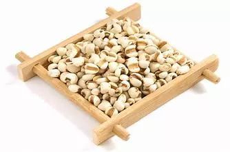 Coix Seed (Yì Yǐ Rén) - A Comprehensive Overview