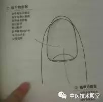 Observational Diagnosis in Traditional Chinese Medicine