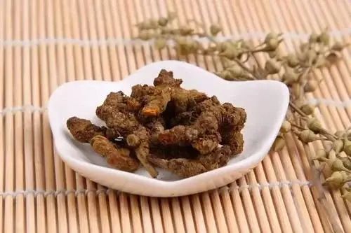 The Efficacy and Functions of Huang Lian (Coptis chinensis)