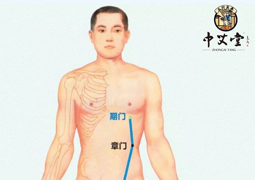 No More Worries About Liver Qi Stagnation! Moxibustion Can Help Relieve Your Concerns!