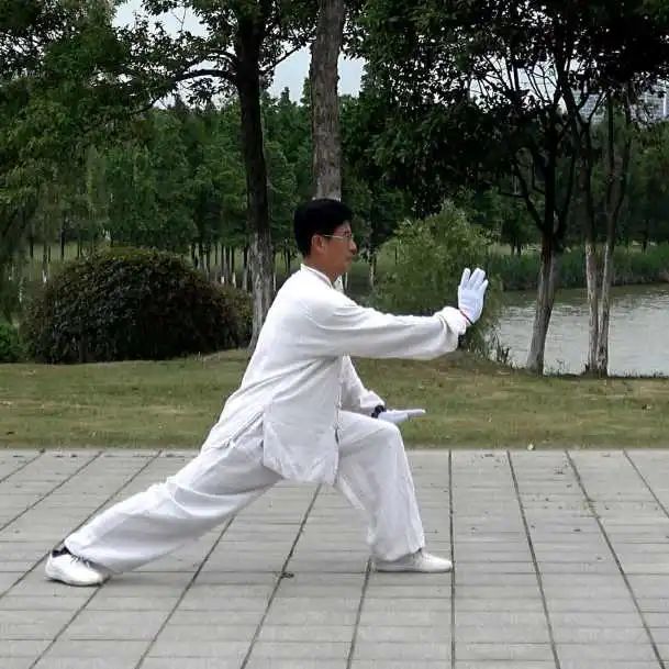 The Harmonious Integration of Yin and Yang in Tai Chi