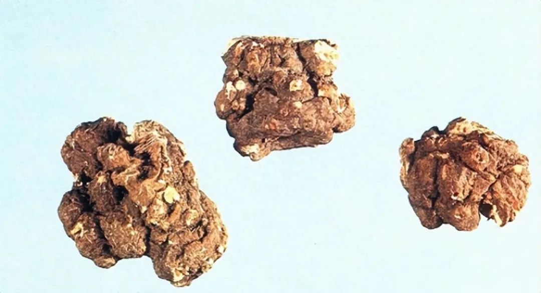 Identification of the Chinese Herbal Medicine Chuanxiong