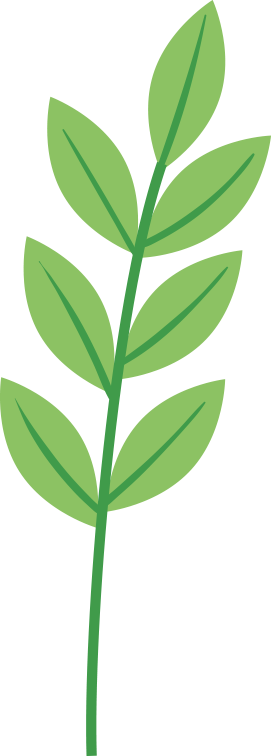 Weekly Herb | Cinnamon - The Fiery Sun