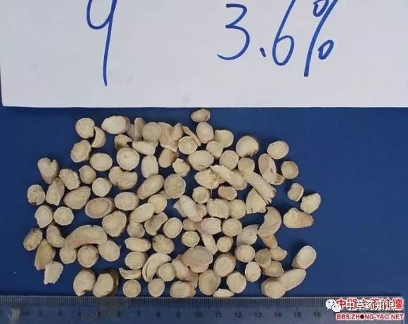 Traditional Chinese Medicine Herb: Bai Shao (White Peony)