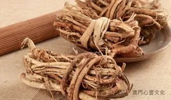 Common Qi-Boosting Herbs in Traditional Chinese Medicine (Part 2)