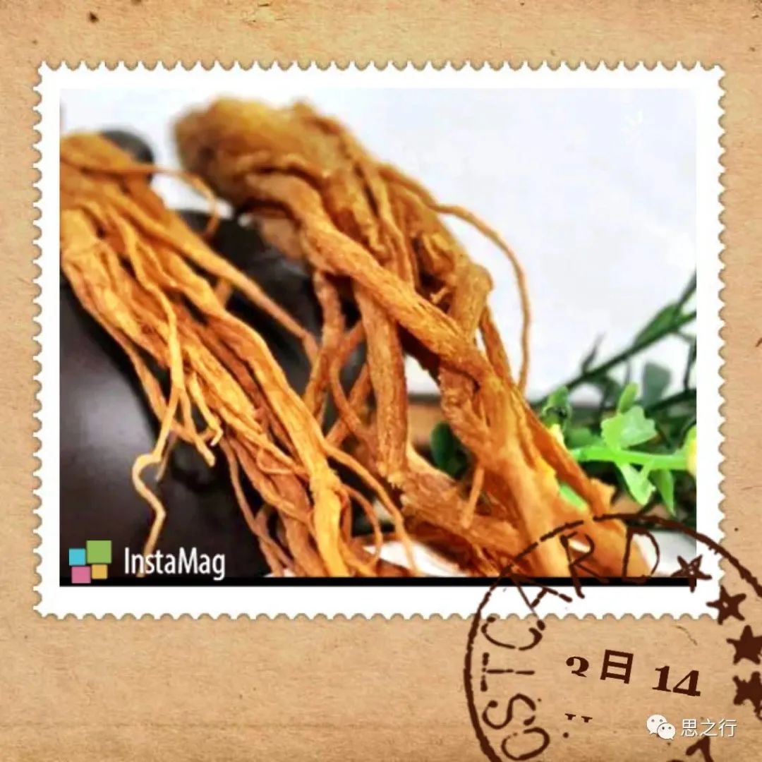 The Efficacy and Functions of Angelica Sinensis: Nourishing Blood, Activating Circulation, Strengthening the Heart, Preventing Thrombosis, Promoting Bowel Movement, and Enhancing Immunity