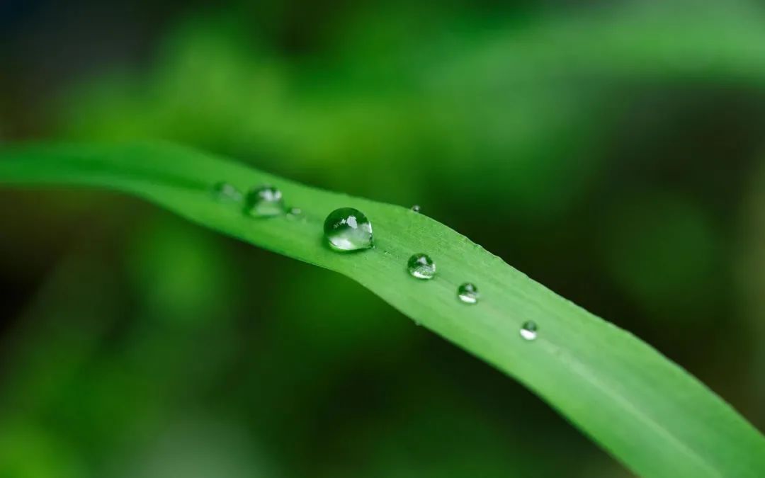 What Does Traditional Chinese Medicine Nourishment Really Mean?