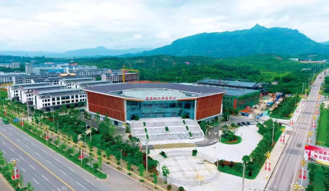 A Remarkable Remedy: Jingzhou Poria