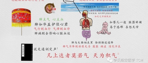 Tongue Diagnosis and the Lungs (Animated Version)