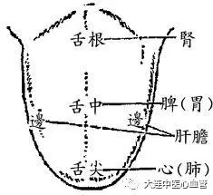 The Health Code Revealed by Your Tongue: A Series on Tongue Diagnosis in Traditional Chinese Medicine (Part II)