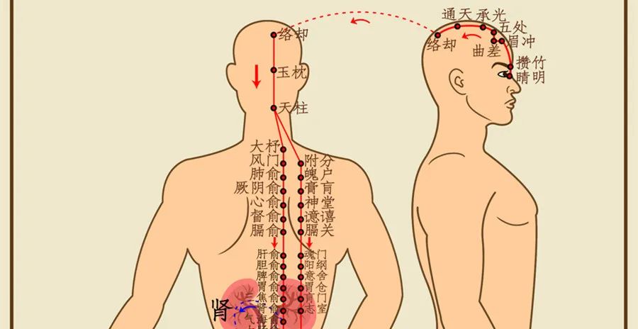 Understanding Gua Sha: What Is It Really About?