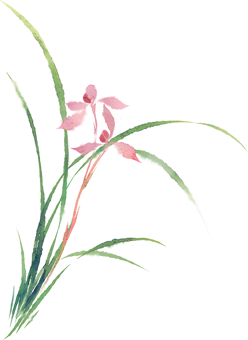 The Story of Ma Chi Xian (Purslane) Treating Ulcers