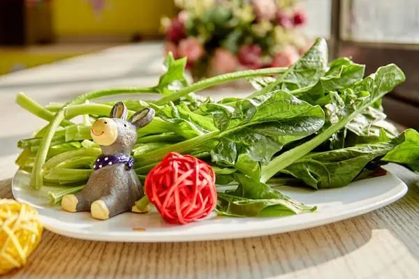 What to Eat for Blood Nourishment? This Dietary Guide for Blood Supplementation is Worth Knowing!