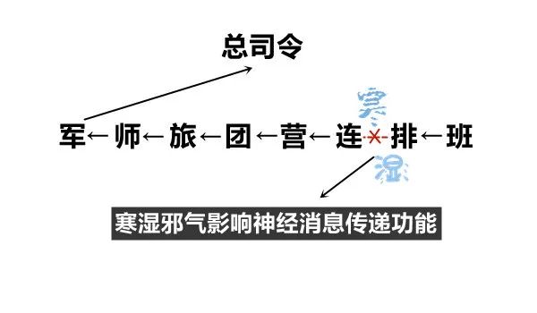 Understanding the Relationship Between the Large Intestine and the Lungs: Cold Dampness and Its Impact on the Spirit