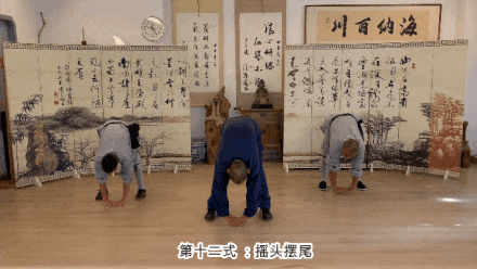 Detailed Explanation of the Twelve Movements of the Ancient Yi Jin Jing