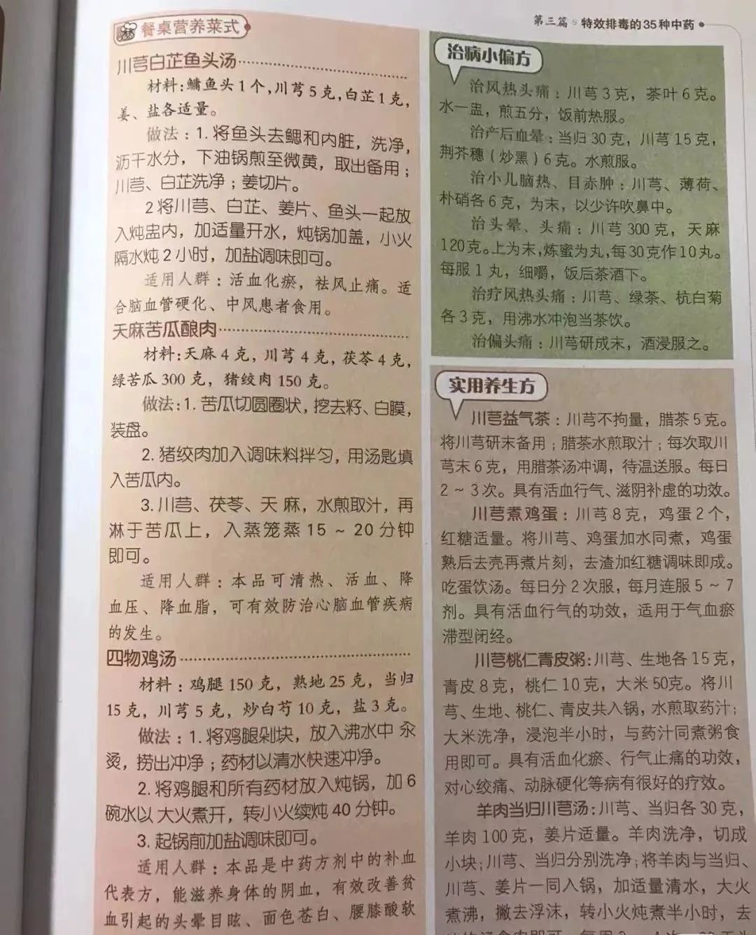 Chuanxiong: A Valuable Herb for Treating Headaches and Promoting Blood Circulation