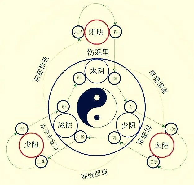 The Pathways, Connections, and Flow of Qi and Blood in the Twelve Meridians