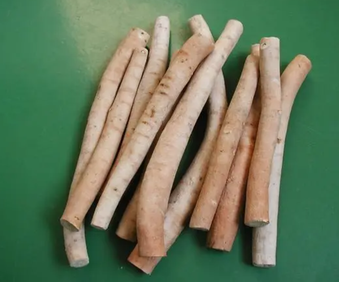 Understanding Bai Shao (White Peony) in Traditional Chinese Medicine
