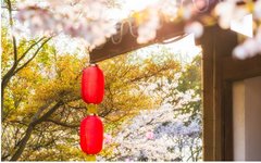Effective Use of Danshen: Tips from Zhu Shenyu