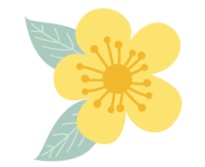 Codonopsis pilosula: A Comprehensive Overview of Its Benefits and Uses