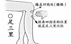 Essential Knowledge of Traditional Chinese Medicine You Must Understand