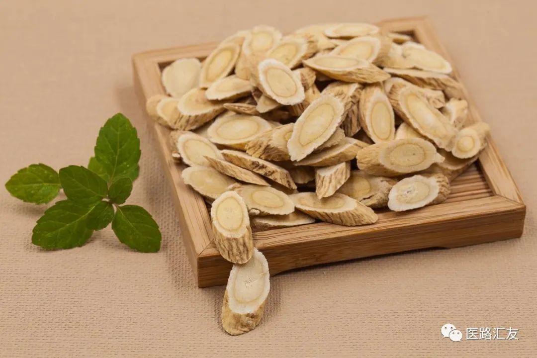 Daily Herb: Astragalus (Huang Qi)