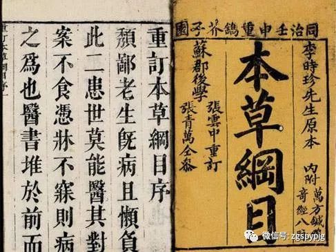 Weekend Digest | The Timeless Materia Medica