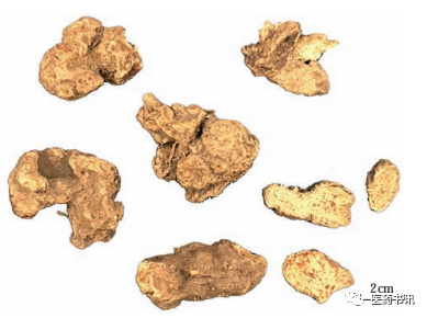 Comprehensive Guide to Chinese Medicinal Resources