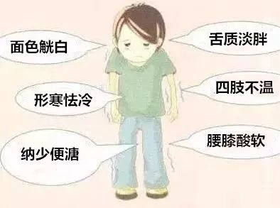 Differentiation and Treatment of Internal Injury Fever