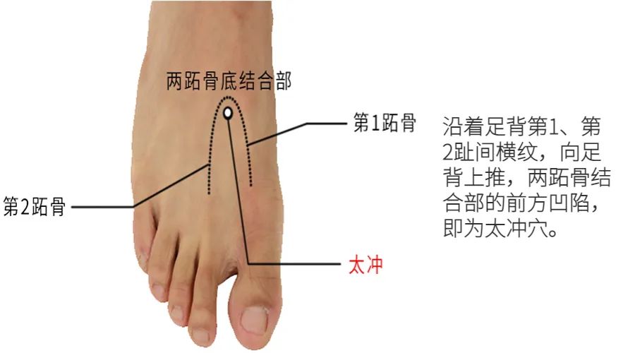 Warming Yang: The Primary Acupoint for Warming Meridians and Treating Cold Extremities, Joint Cold, and Cold in the Lower Back and Legs, Essential for Winter