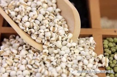 Traditional Chinese Medicine Dietary Therapy: Coix Seed as a Powerful Anti-Cancer Remedy