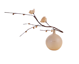 Classification Scale for Nine Basic Constitutions in Traditional Chinese Medicine