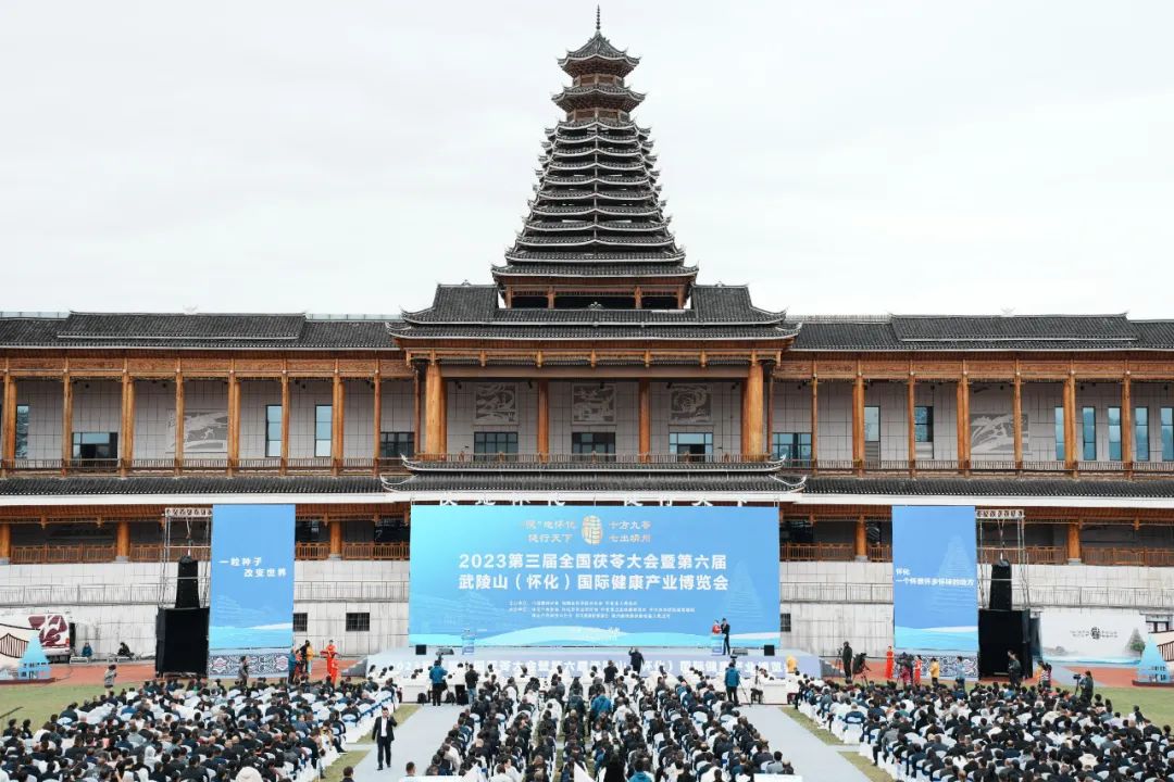 A Remarkable Remedy: Jingzhou Poria