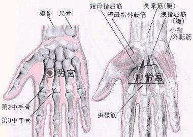 50 Common Acupuncture Points for Treating Various Ailments
