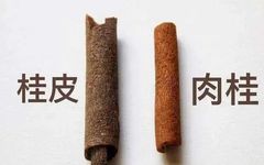 The Efficacy and Functions of Cinnamon in Traditional Chinese Medicine