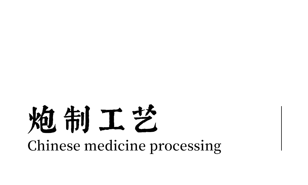 Pharmacist's Insights: The Series on 'Dang Shen' (Codonopsis)