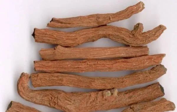 Benefits of Drinking Salvia Miltiorrhiza Tea: Effects, Applications, and Important Precautions