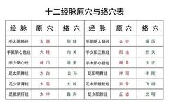 Fundamental Theories of Traditional Chinese Medicine: Jingbie, Luomai, Jingjin, and Pibu