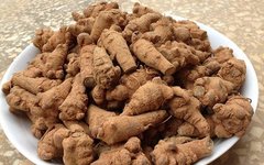 Understanding Medicinal Cuisine: Start Here