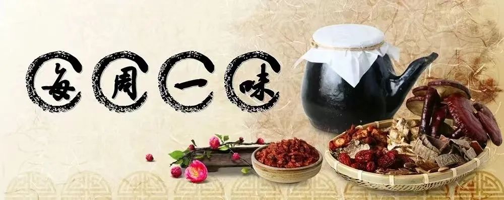Weekly Herb: Chuan Xiong (Ligusticum Chuanxiong)