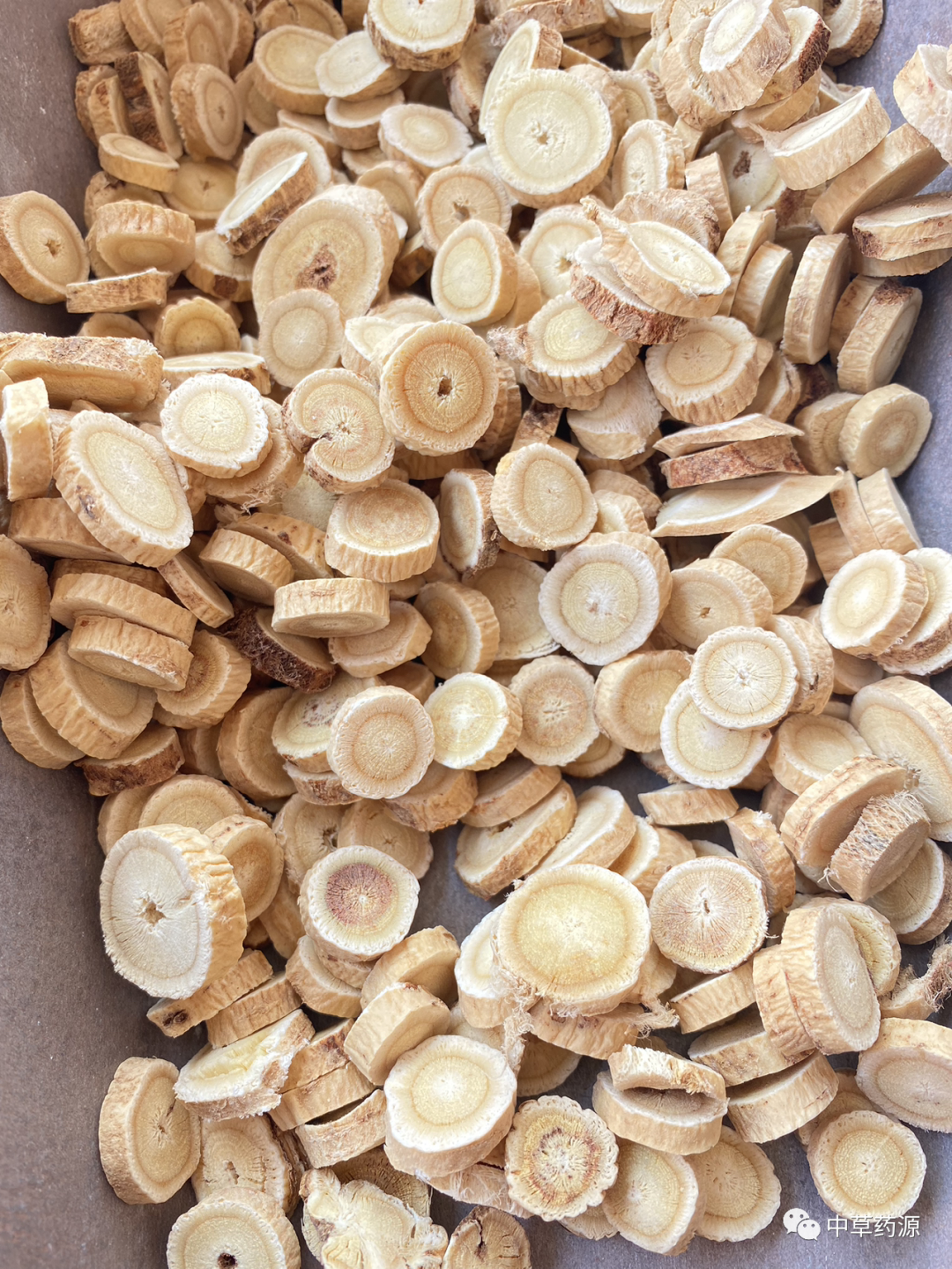 Appreciation of Traditional Chinese Medicine: Huangqi (Astragalus Root)
