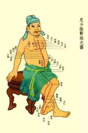 The Huangdi Neijing: Meridians, Determining Life and Death, Addressing Hundreds of Diseases