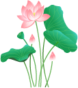 Strengthening the Body and Expelling Pathogens: My Protection with 'Qi Huang Bi Wen' Decoction