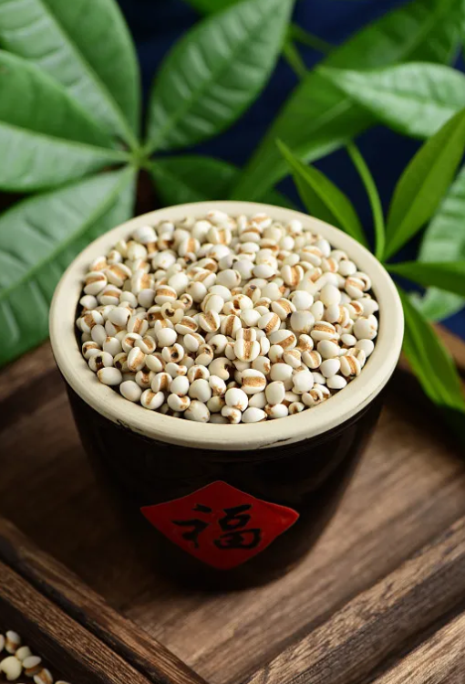 The Efficacy and Usage of Coix Seed (Yi Yi Ren)