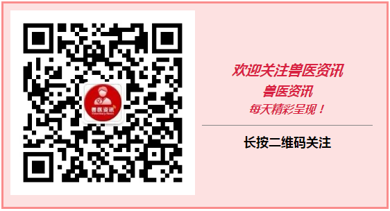 Knowledge of Veterinary Medicine | How to Choose Between Traditional Chinese Veterinary Powder and Extracts