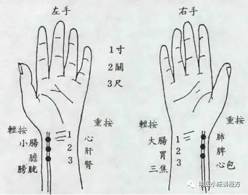 Lecture 130 - Understanding the Pulse of Xiao Chai Hu